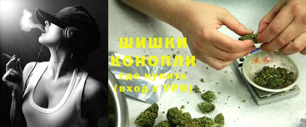 крисы Мегион