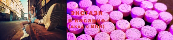 крисы Мегион