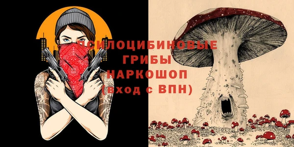 не бодяженный Михайлов