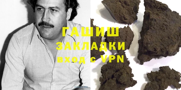 прущие грибы Медногорск