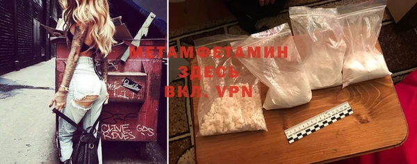 крисы Мегион