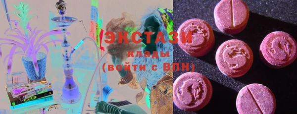крисы Мегион