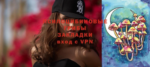 дживик Михайловск
